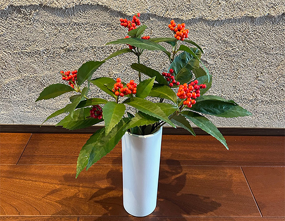 シンプルな白い花瓶に活けられた千両