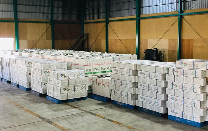 出荷される千両