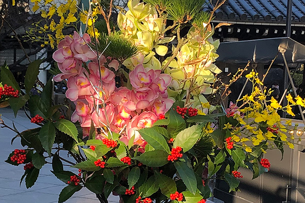 千両のアレンジ