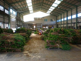 本社工場に運ばれた若松