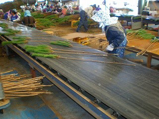 若松をコンベアで流して成形