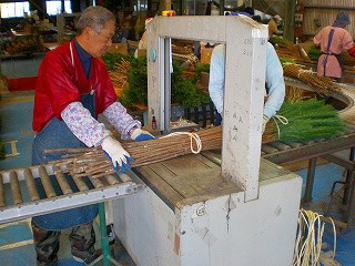 若松にバンドをかける