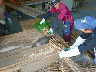 若松のサイズをそろえる