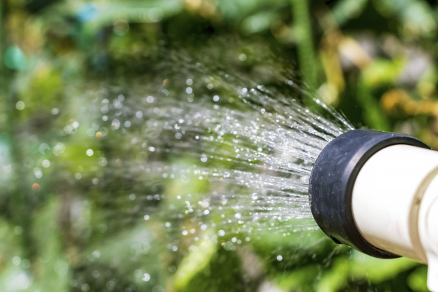 シャワーから出る水