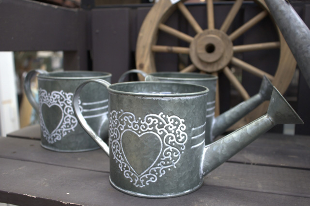 銀色のジョウロ