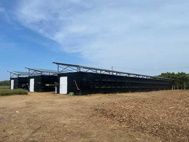 太陽光パネルと千両の楽屋三台