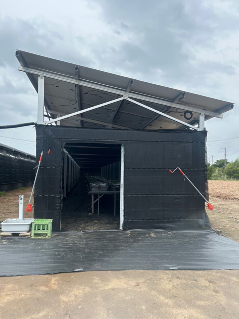 太陽光パネルと千両の楽屋の入り口