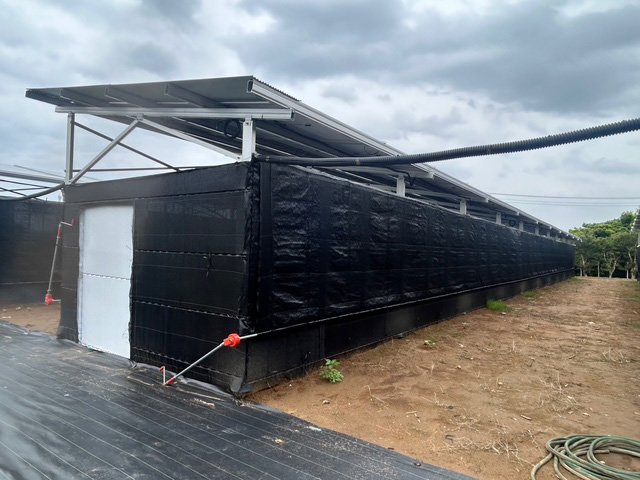 太陽光パネルと千両の楽屋の横から見た風景