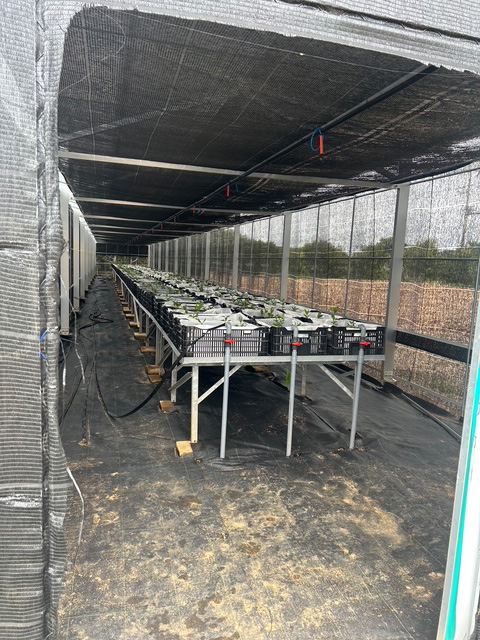 太陽光パネルの下の千両の楽屋の中の様子