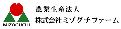 若松・千両のことなら株式会社ミゾグチファーム