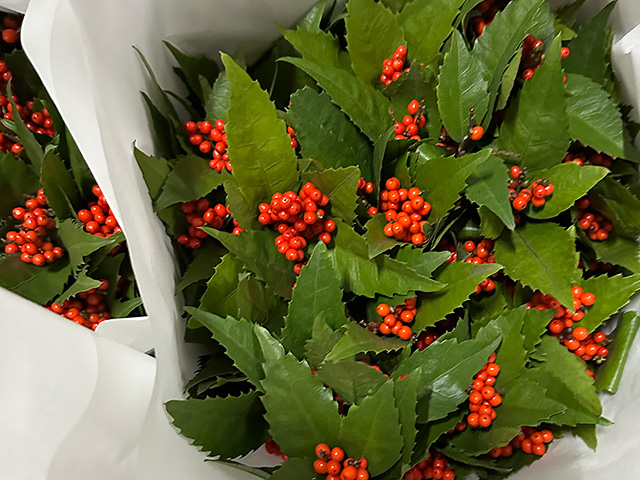 白い紙に包まれた千両の束