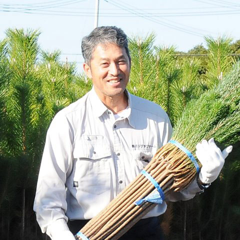 松の畑で若松を持つ社長