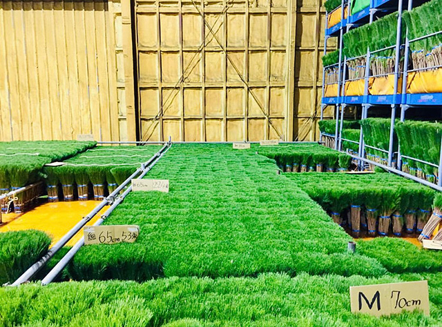 出荷前 冷蔵庫内