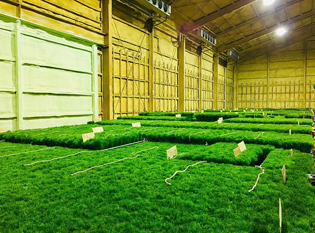 出荷前 冷蔵庫内