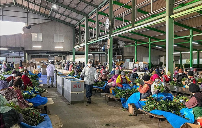 年末の作業風景