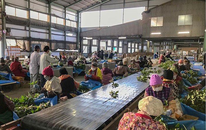 年末の作業風景