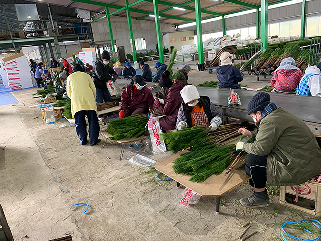 門松２本組　スリーブ入　