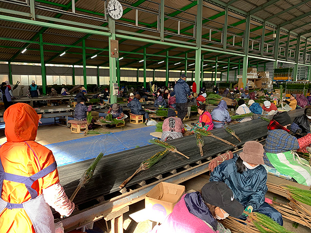 門松２本組　スリーブ入　